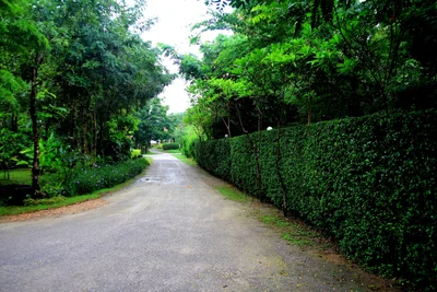 Chom Bueng - Photo 3