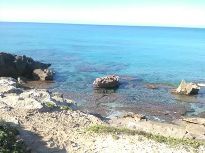 Cabras - Photo 5