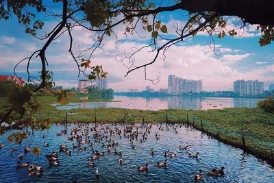Kochi (Cochin) - Photo 4