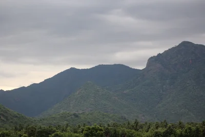 Dindigul - Photo 3