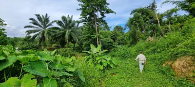 Thap Put - Photo 4