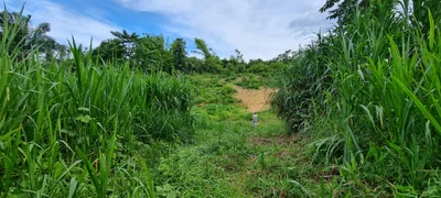 Thap Put - Photo 5