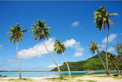Maupiti Island - Photo 5