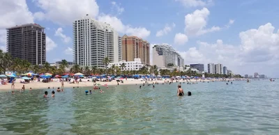 Broward County - Photo 4