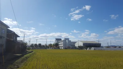 Ritto - Photo 2