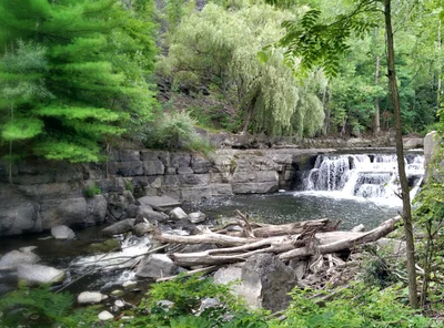 Finger Lakes - Photo 3