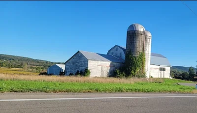 Finger Lakes - Photo 5