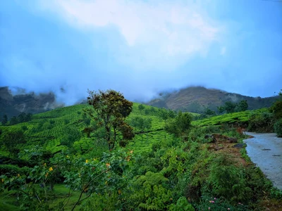 Suryanelli - Photo 5