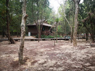 Dongshan County - Photo 2