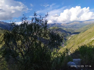 Limatambo - Photo 4