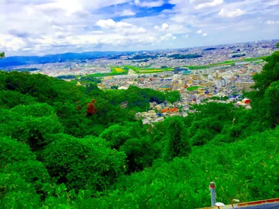 Kashiwara - Photo 3