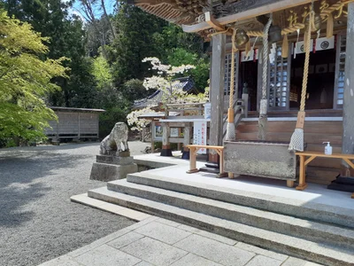 Kesennuma - Photo 3