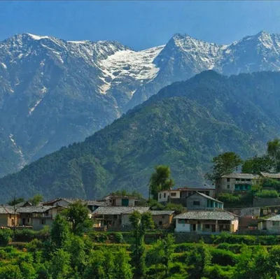 Palampur - Photo 3