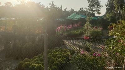 Udalguri - Photo 3