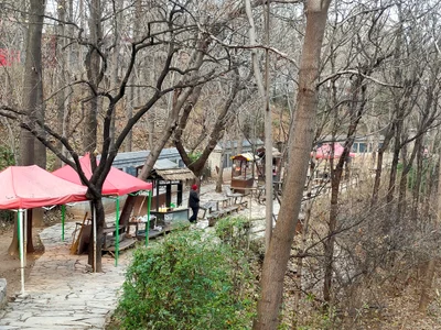 Qingzhou City - Photo 4