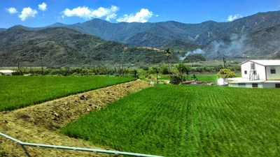 Fuli - Photo 4