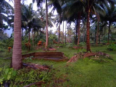 Sanguem - Photo 2