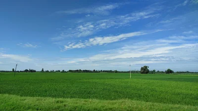 Sitarganj - Photo 5