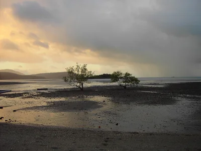 Moreton Island - Photo 4