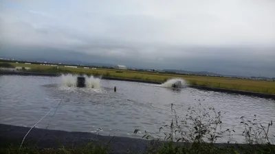 Gimje-si - Photo 2
