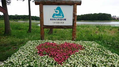 Kitatsugaru-gun - Photo 4