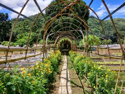 Tanay - Photo 5