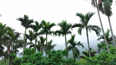 Shitan - Photo 2
