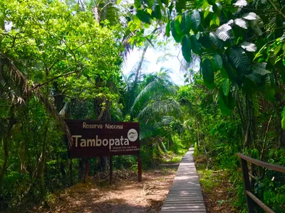 Tambopata National Reserve - Photo 3
