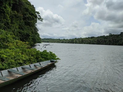 Tambopata National Reserve - Photo 4