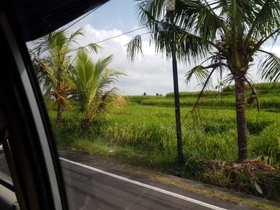 North Kuta - Photo 3