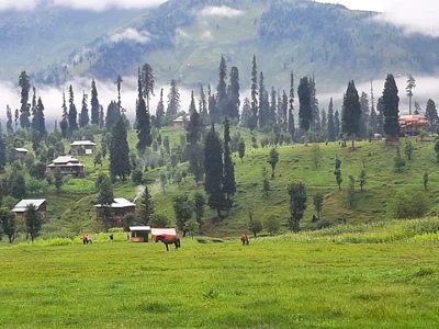 Bagh - Photo 2