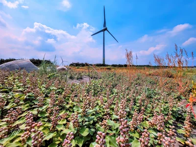 Xianxi Township - Photo 2