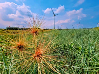 Xianxi Township - Photo 4