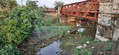 Kolad - Photo 5