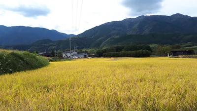 Katsuragi - Photo 4