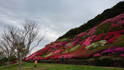 Matsuura - Photo 3