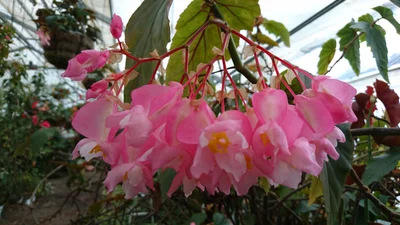 Matsuura - Photo 4