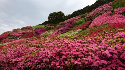 Matsuura - Photo 5