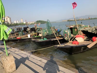 Fuyang - Photo 3