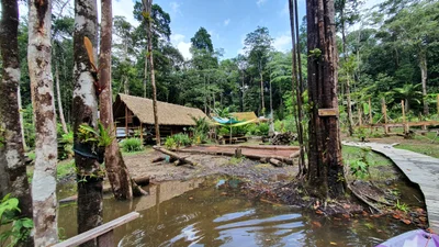 Roura - Photo 4