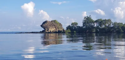 Tablas Island - Photo 3