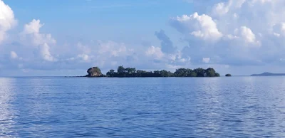 Tablas Island - Photo 5