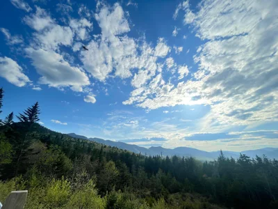 White Mountains - Photo 3