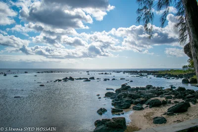 Pointe Aux Piments - Photo 2