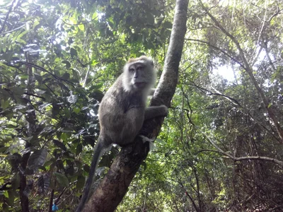 Bongao - Photo 5