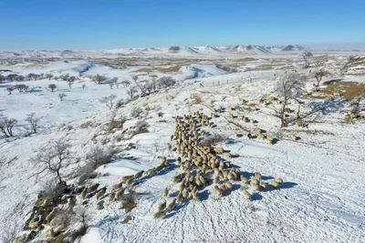 Xilinhot City - Photo 2
