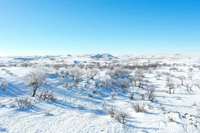 Xilinhot City - Photo 3