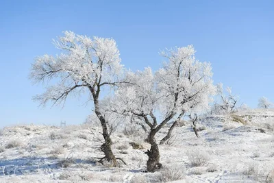Xilinhot City - Photo 4