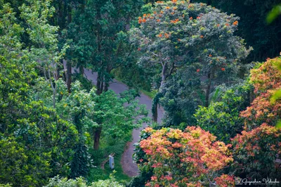 Sooriyakanda - Photo 2