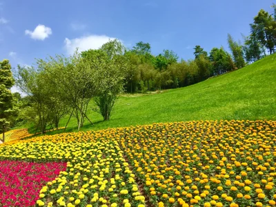 Chongzhou City - Photo 4